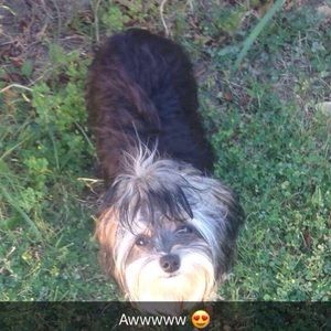 Meet your Posher, Valerie